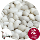 Chinese Pebbles - Polished Porcelain White - Click & Collect - 2712